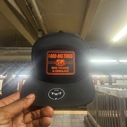 1-800 BIG TINGS Snapback